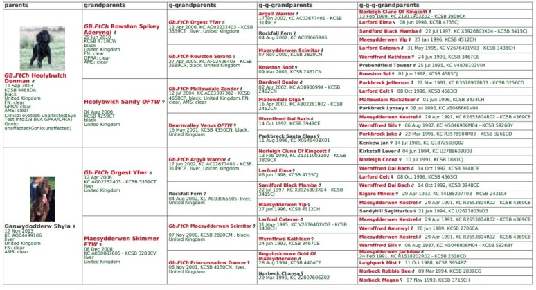 Screen Shot 2023-03-13 at 18.25.06